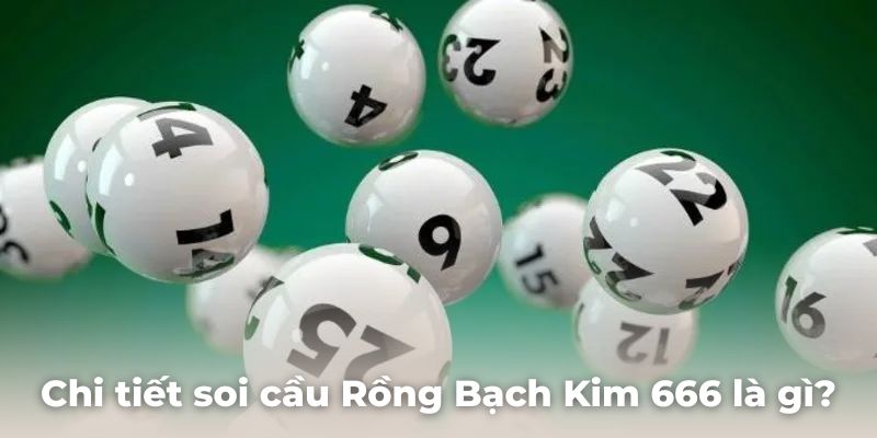 Tìm hiểu chi tiết soi cầu rồng bạch kim 666 là gì